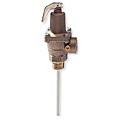 Temperature and Pressure Relief Valves image